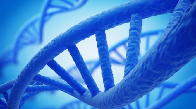 DNA Repair Pioneers Win Nobel | The Scientist Magazine®